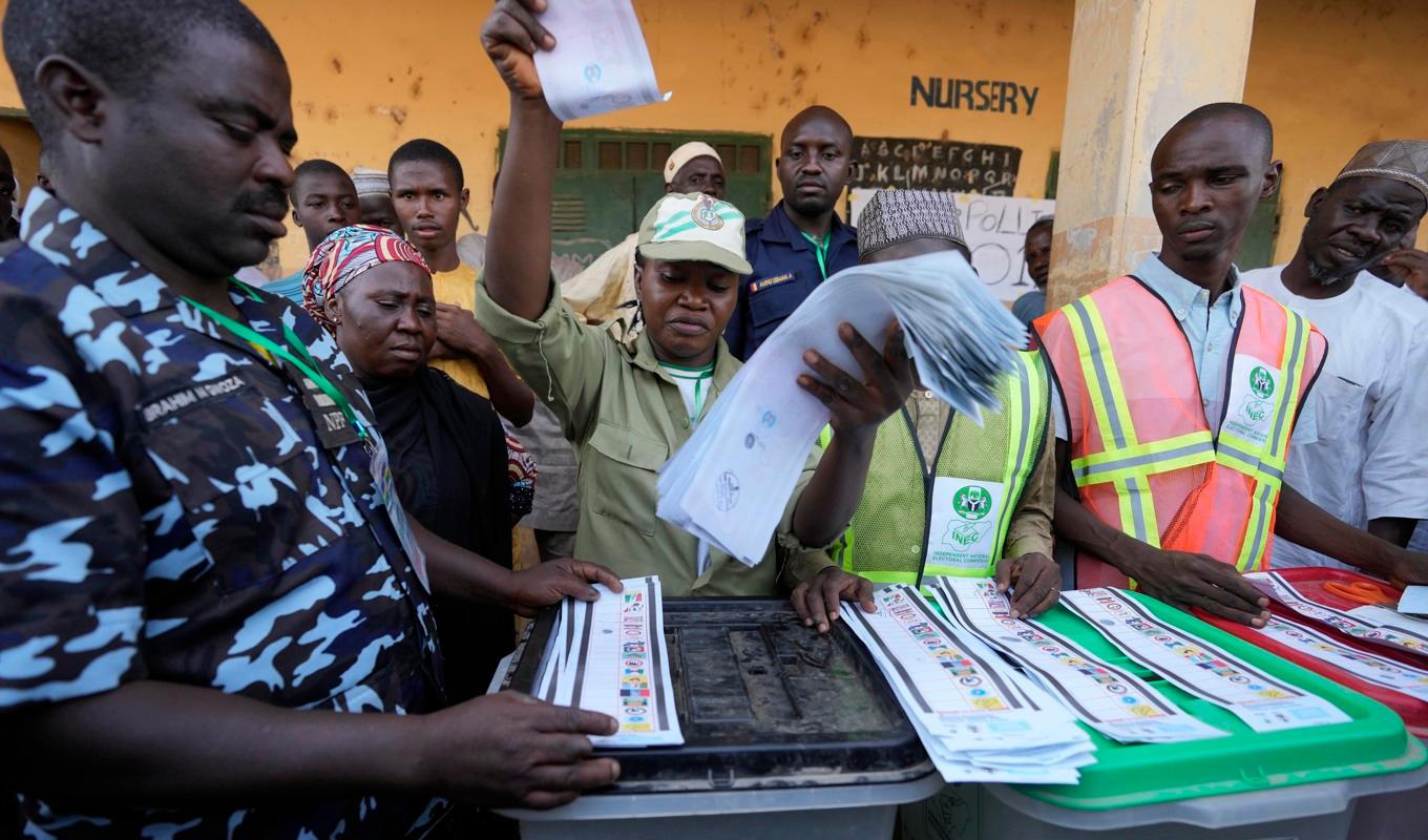 Rösträknare vid en vallokal i Yola i Nigeria. Foto: Sunday Alamba/AP/TT