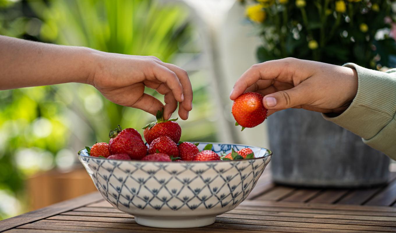 Varma sommardagar rekommenderar kinesisk medicin bland annat jordgubbar, på grund av dess svalkande effekt i kroppen. Foto: Sofia Drevemo