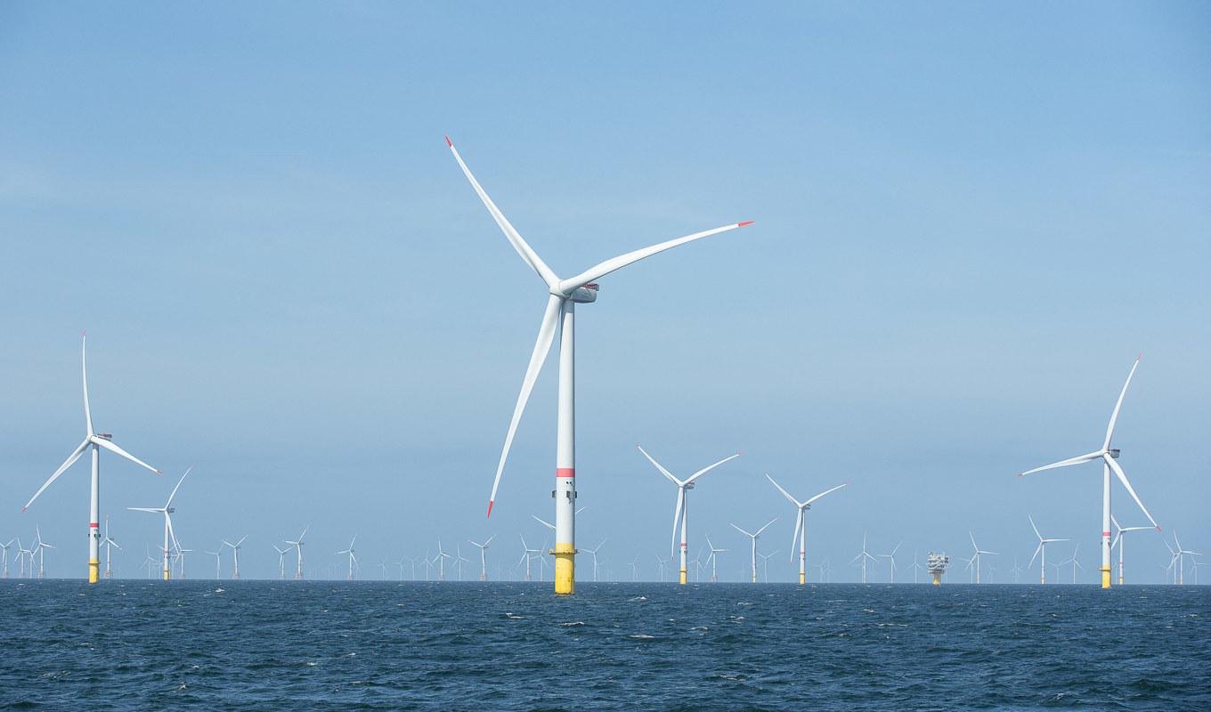 Havsbaserad vindkraft medför viss miljöpåverkan, däribland buller och ljusföroreningar. Utöver det kommer det faktum att energin inte är planerbar. Foto: James Arthur Gekiere/Belga Mag/AFP via Getty Images