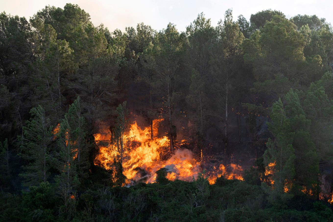 Arkivbild på en skogsbrand i Spanien. Foto: Andreu Esteban/AP/TT