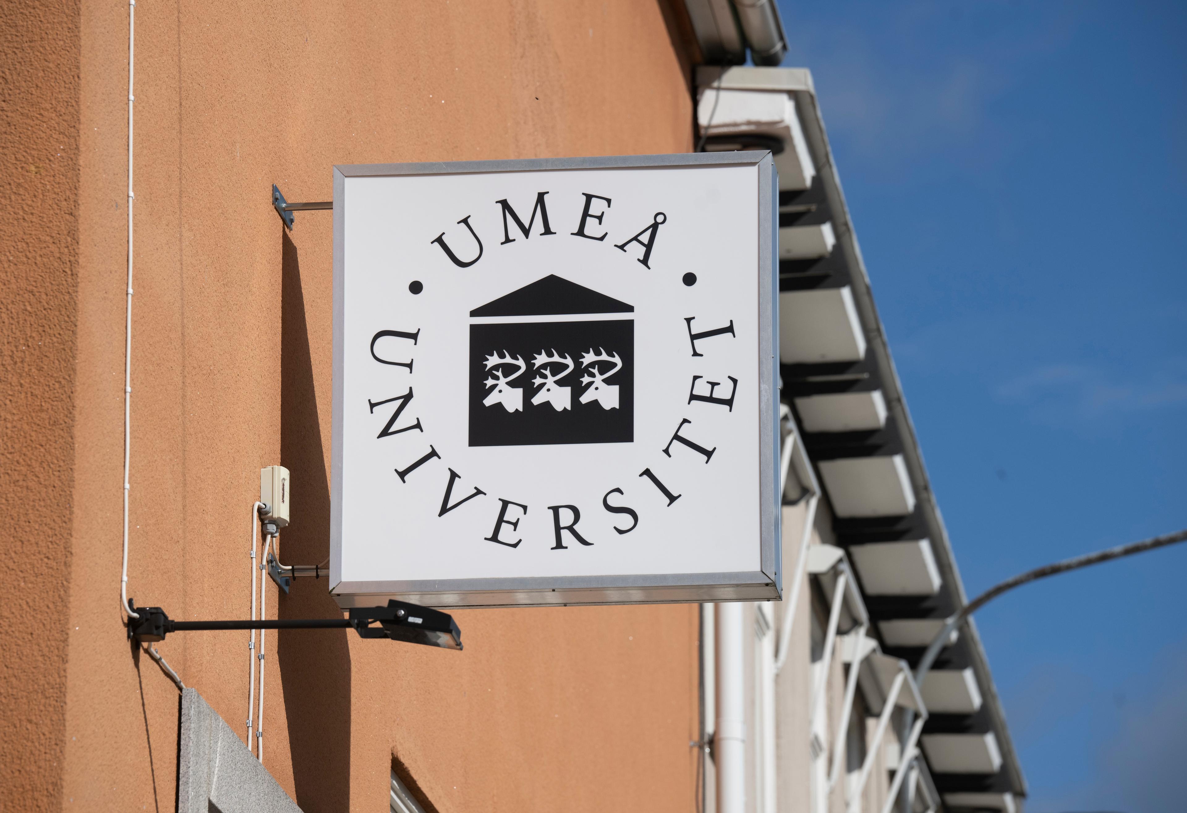 Umeå universitet har utsatts för en it-attack. Arkivbild. Foto: Fredrik Sandberg/TT