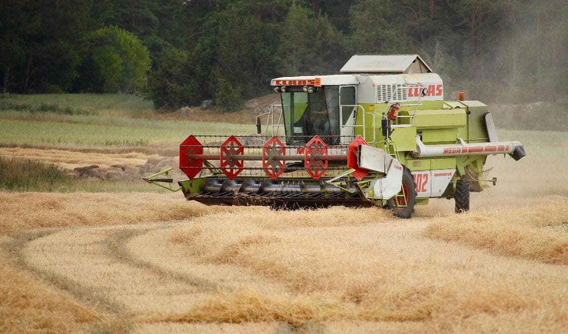 Bönderna pressas från många olika håll, och väntas leverera mycket. Foto: Susanne W. Lamm