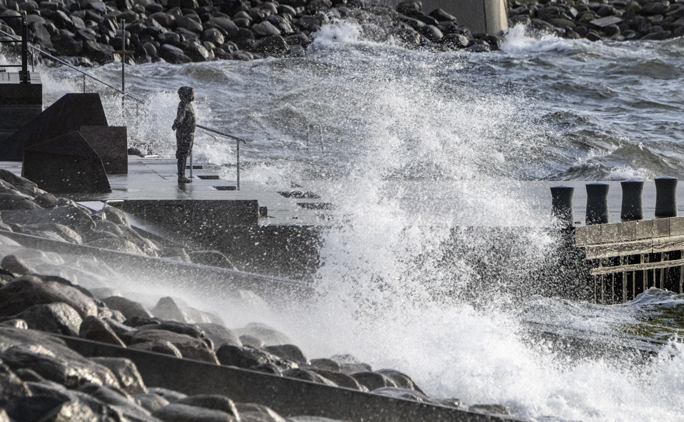 Hallands- och Skånekusten – som Malmö på bilden – kan räkna med stormbyar på 25 meter per sekund under tisdagen. Arkivbild. Foto: Johan Nilsson/TT