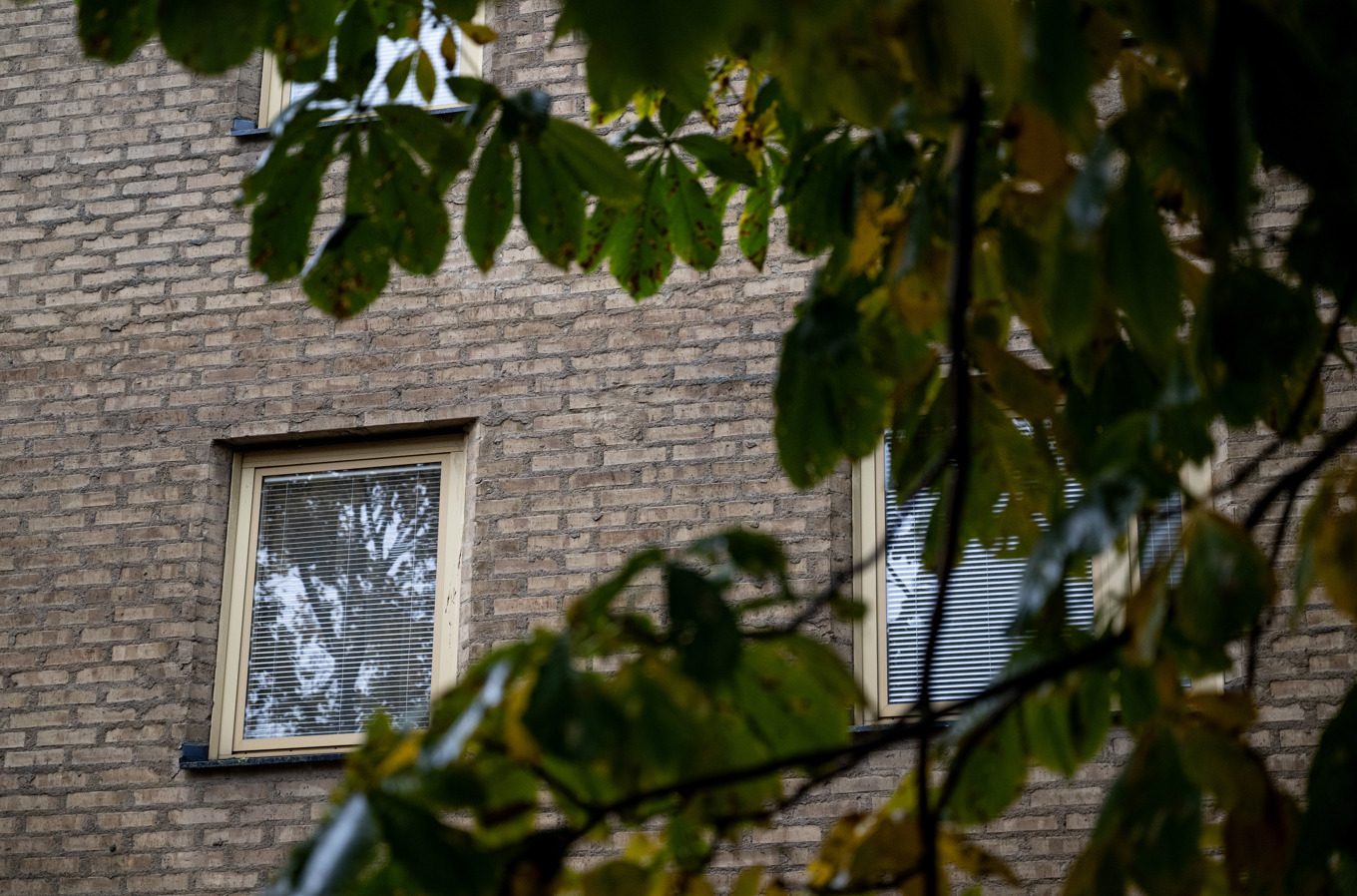 Ett hotell i centrala Stockholm har stängts av polisen på grund av omfattande prostitution. Foto: Christine Olsson/TT