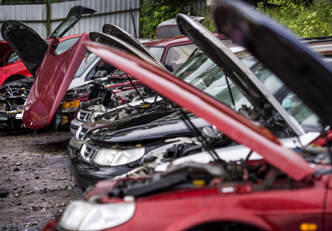 Regeringens högt ställda förväntningar på effekten av en skrotbilspremie grusades. Den 31 oktober går satsningen i graven. Arkivbild. Foto: Marcus Ericsson/TT