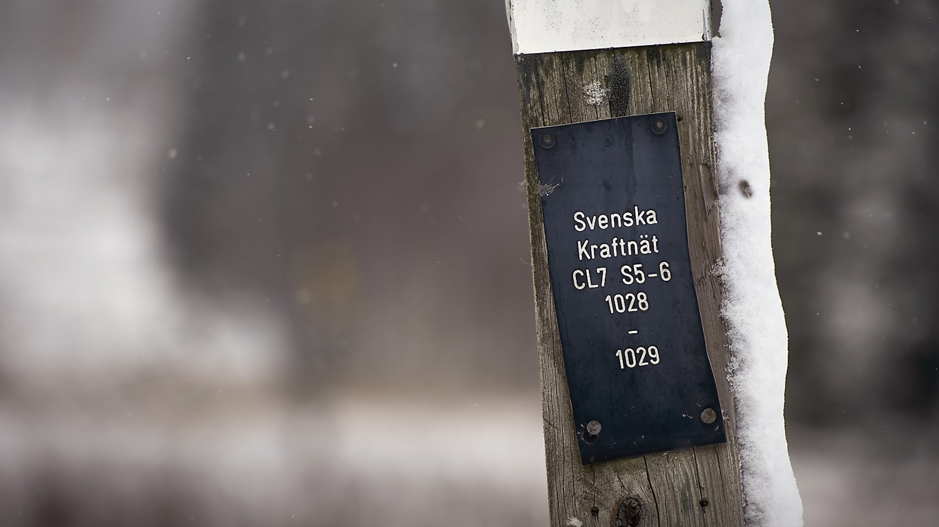 Ett integrerat affärsverk vad gäller elen är inte rätt väg framåt, menar krönikören. Foto: Johan Landquist Luxemburg