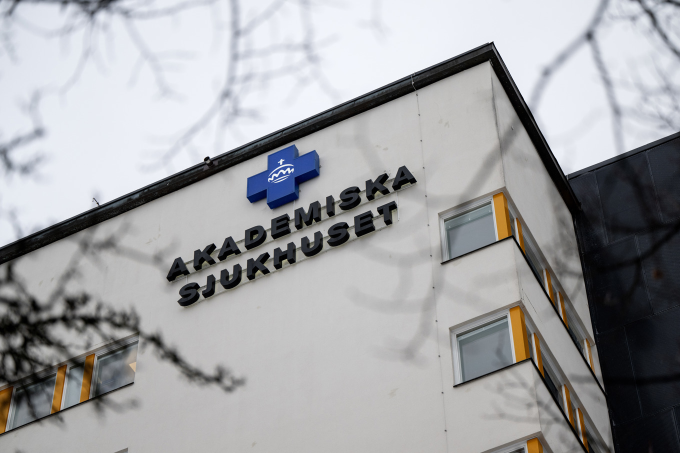 Personerna arbetar på samma avdelning på Akademiska sjukhuset i Uppsala. Arkivbild Foto: Christine Olsson/TT