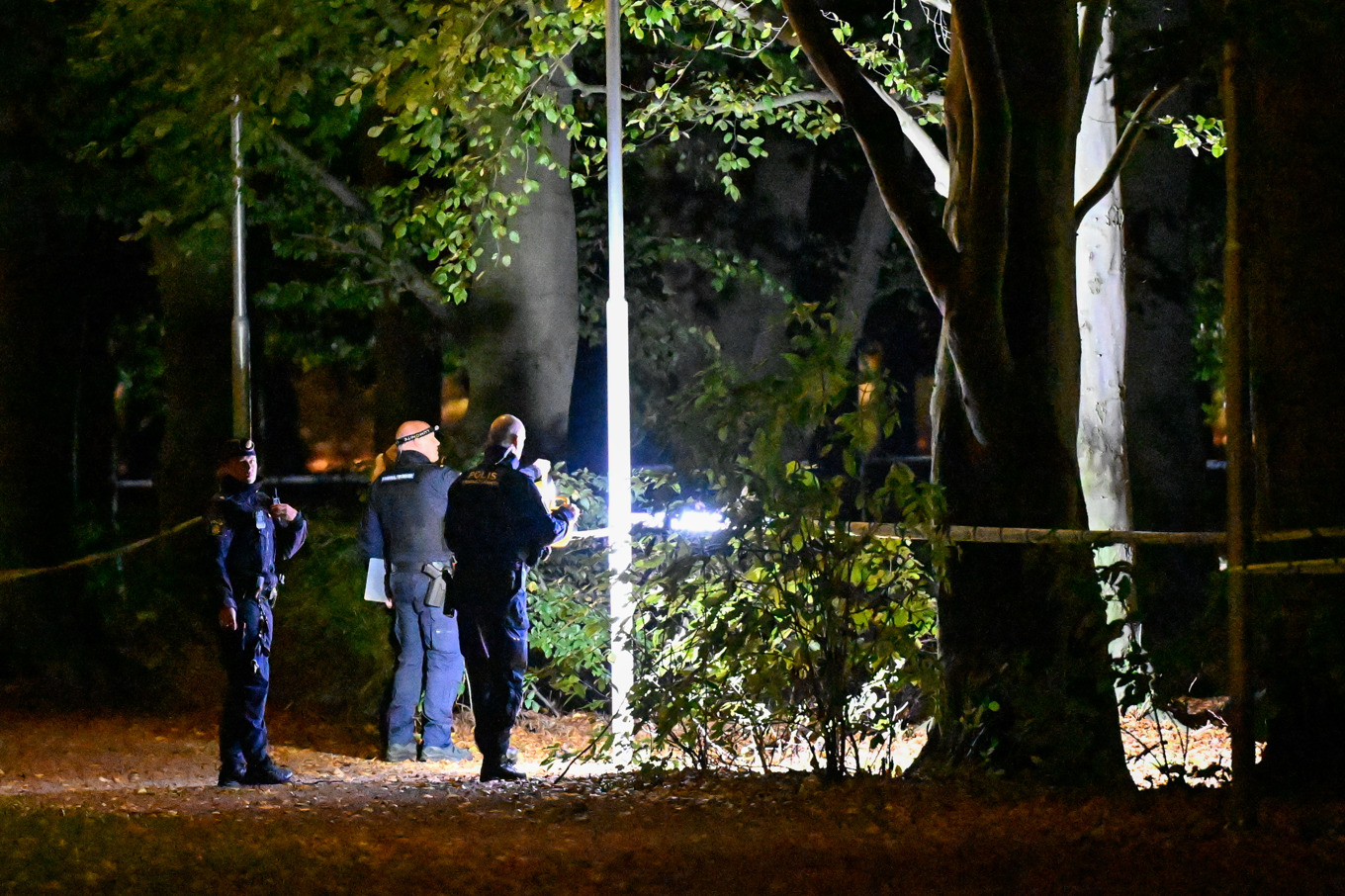 Polis och kriminaltekniker på plats på vid Pildammsparken i Malmö. Foto: Johan Nilsson/TT