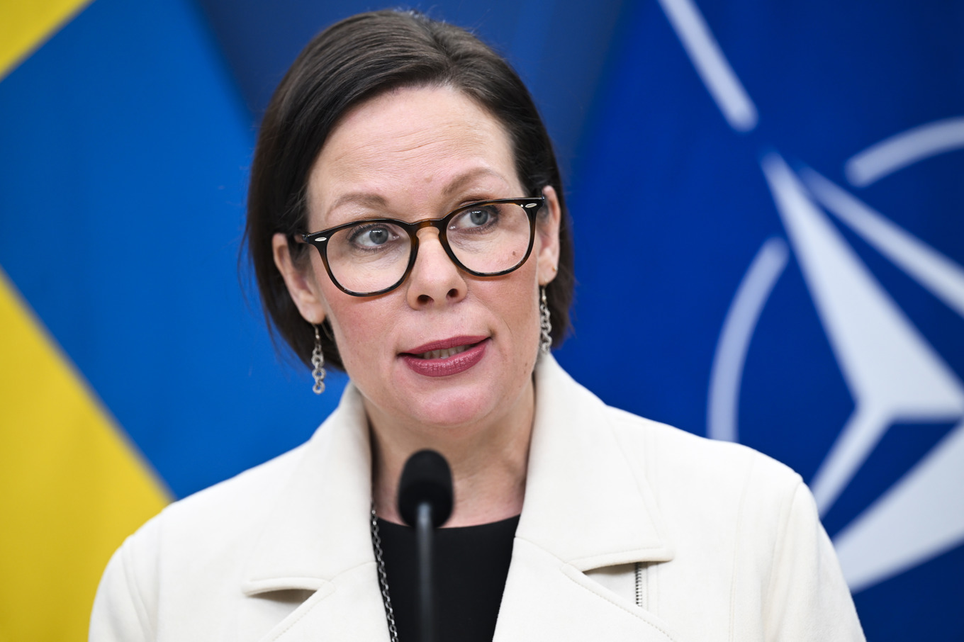 Utrikesminister Maria Malmer Stenergard. Arkivbild. Foto: Fredrik Sandberg/TT