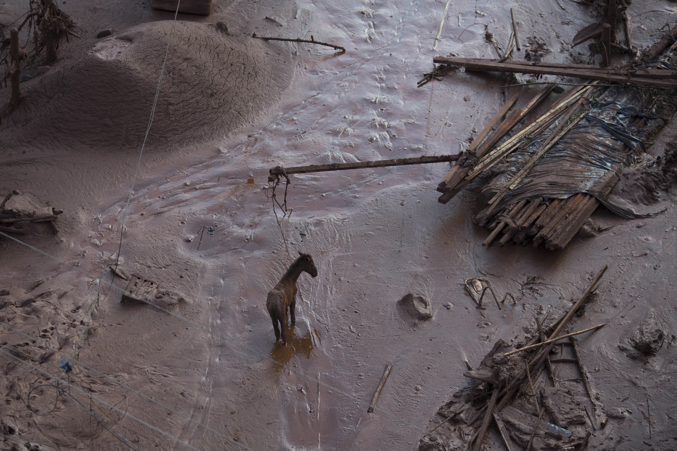 Byn Bento Rodrigues begravd i giftig lera efter en dammkollaps vid en gruva i den brasilianska delstaten Minas Gerais i november 2015. 19 personer omkom i översvämningen. Foto: Felipe Dana/AP/TT