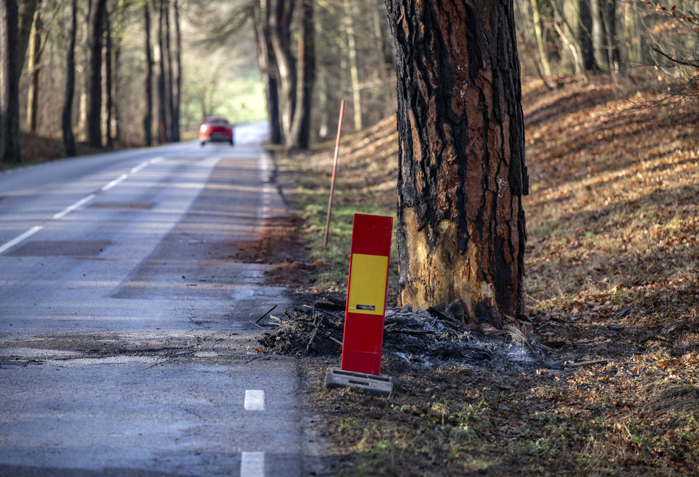 Flera trafikolyckor har inträffat i Skåne på måndagsmorgonen. Arkivbild. Foto: Johan Nilsson/TT