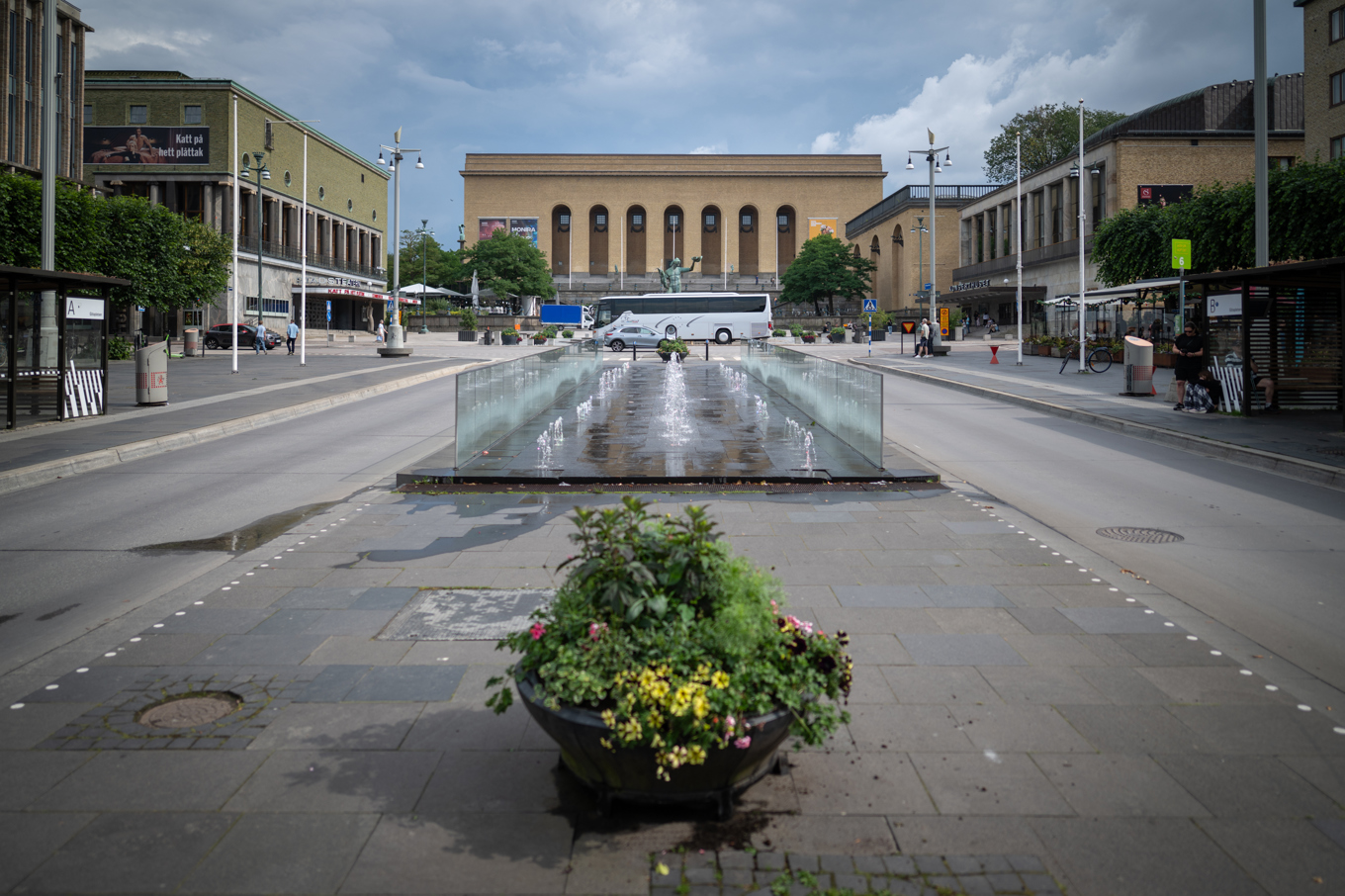 I Göteborg har 384 000 kvadratmeter grönska försvunnit. Foto: Hanna Brunlöf/TT
