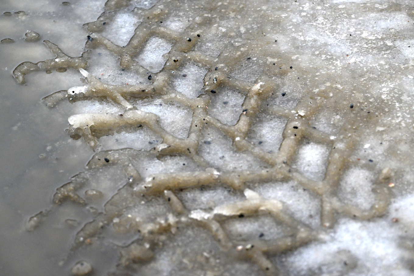 SMHI uppmanar trafikanter att köra försiktigt och anpassa hastigheten till väglaget. Arkivbild. Foto: Janerik Henriksson/TT