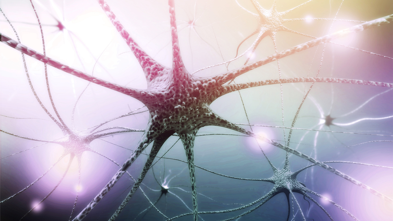 Lina Skantze beskriver nervsystemet som ett energifördelningssystem. Foto: Shutterstock