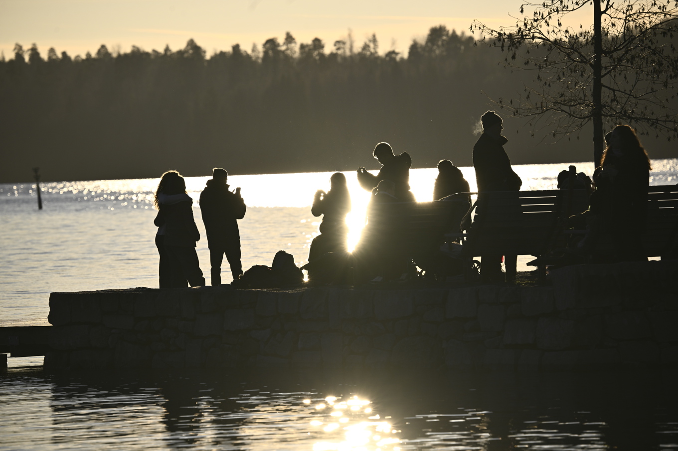 I Sigtuna vid Mälaren var det många som njöt när solen tittade fram under vintersolståndet på söndagen. Foto: Fredrik Sandberg/TT