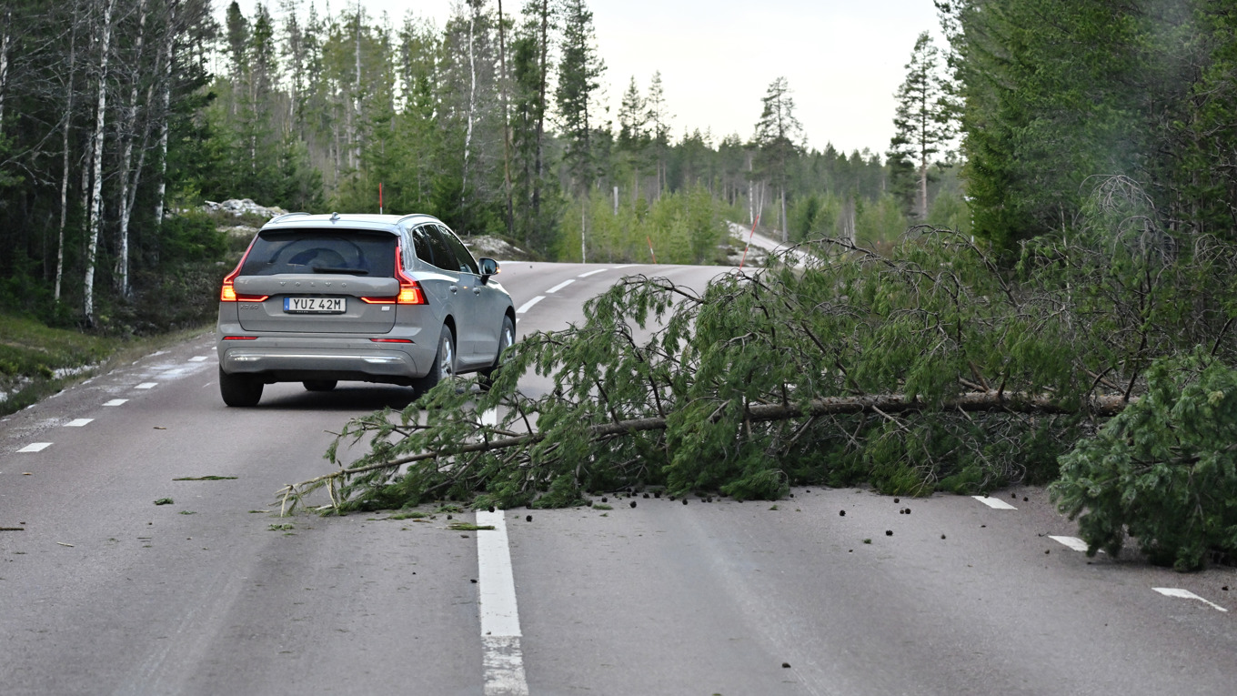 Bilden av skadeläget efter stormen Johannes är fortfarande ofullständig, men miljardvärden befaras ha gått förlorade. Foto: Ulf Palm/TT