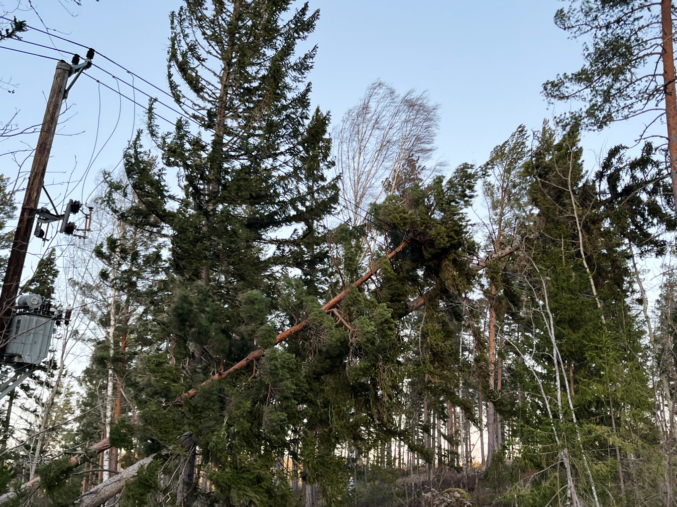 Många i Gävleborgs län blev av med strömmen under stormen Johannes. Arkivbild. Foto: Tomas Bengtsson/TT
