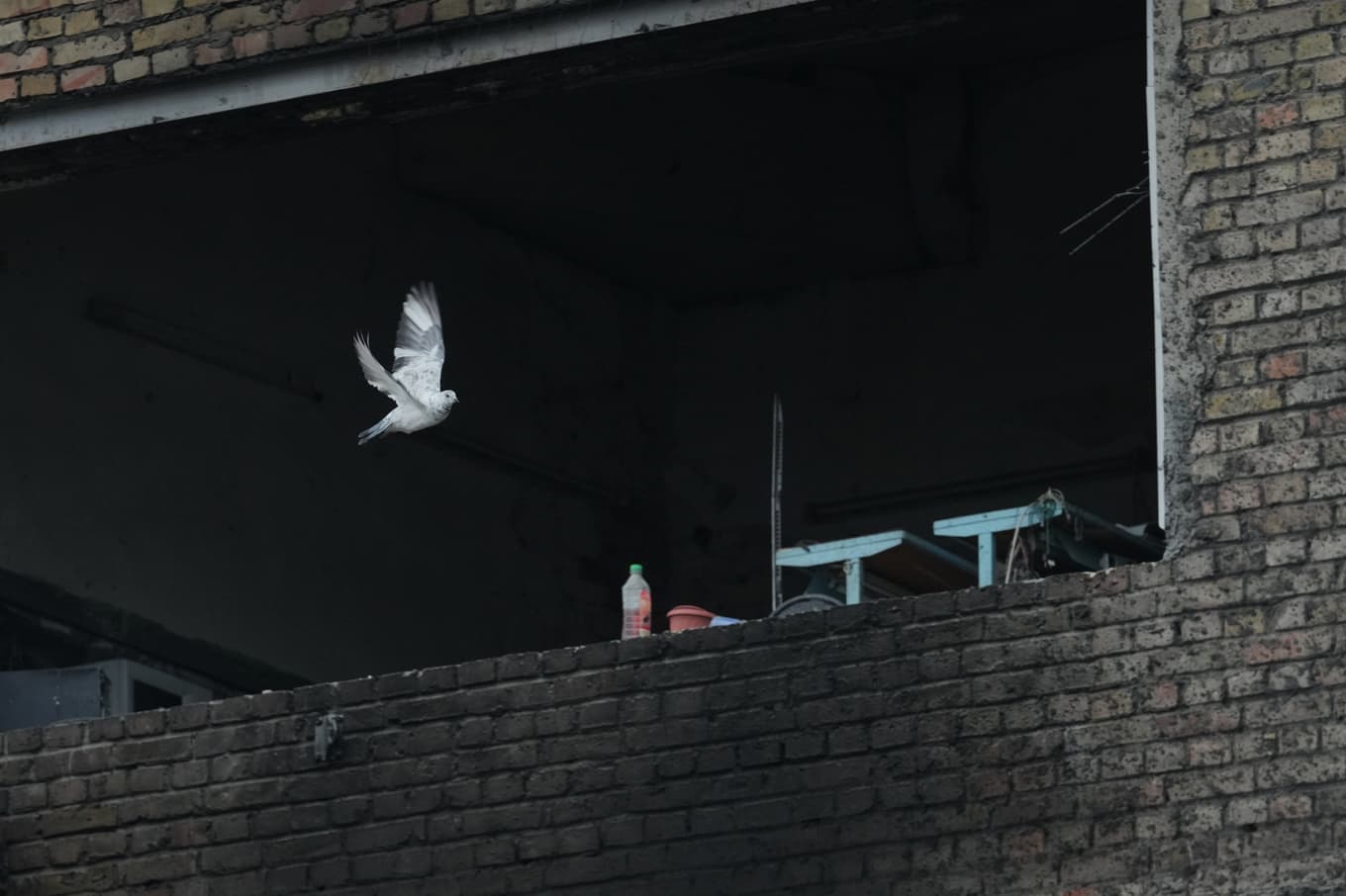 En duva flyger förbi en utbränd byggnad vid ett kraftverk i Kiev som bombades i början av veckan. Arkivbild. Foto: Sergei Grits/AP/TT