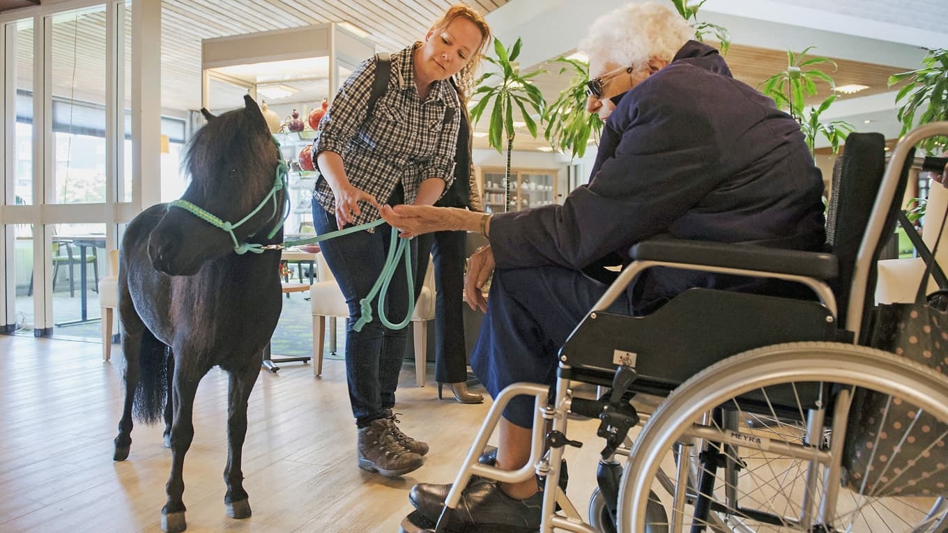 En kvinna får en terapistund med besök av en ”terapihäst” på ett äldreboende. Hästen hjälper äldre, som ofta lider av demens, att komma i kontakt med omvärlden. Foto: Piroschka van de Wouw/Getty Images