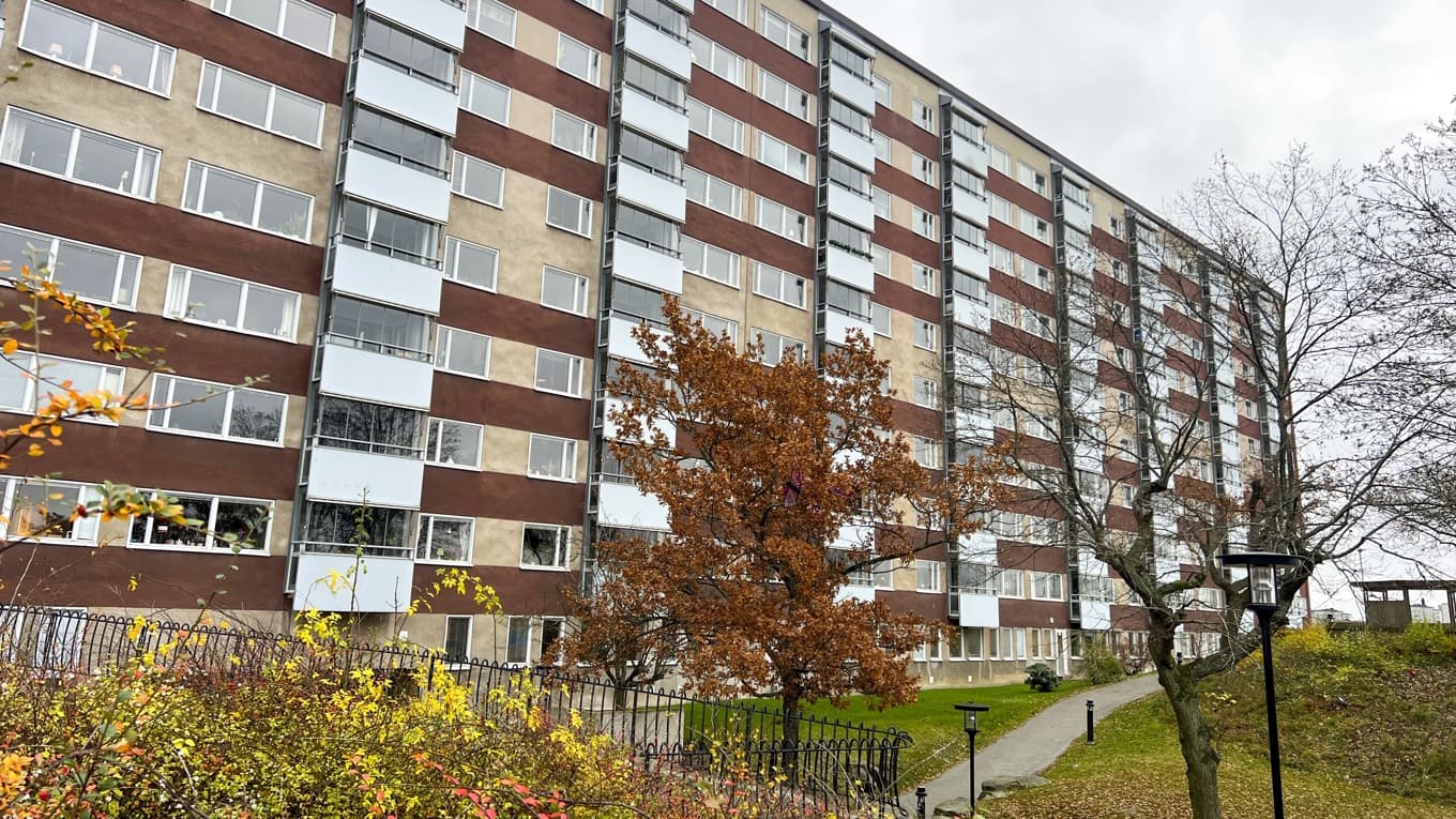 Här bor ett av världens mest tillitsfulla folk – svenskarna. Foto: Sofia Drevemo