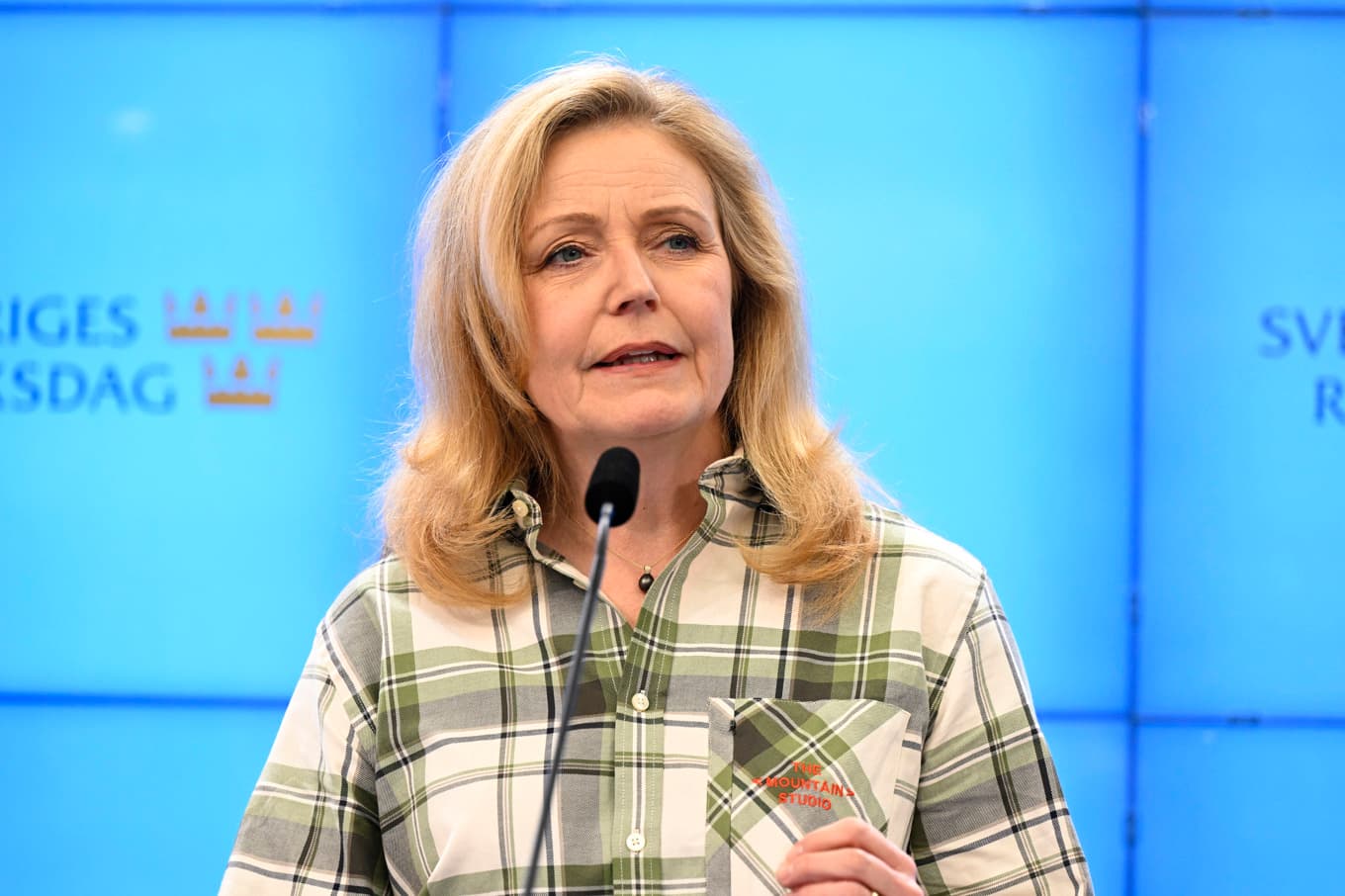 Sorgligt och obegripligt, tycker Centerpartiets ledare Elisabeth Thand Ringqvist. Arkivbild. Foto: Jessica Gow/TT