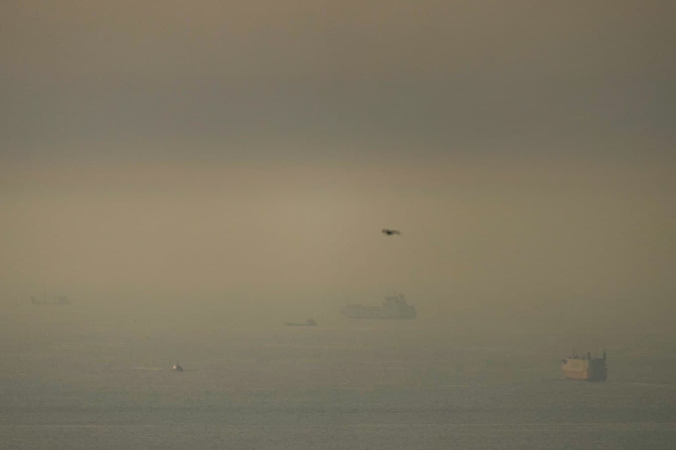 Transportfartyg i Hormuzsundet tidigare i veckan. Foto: AP/TT