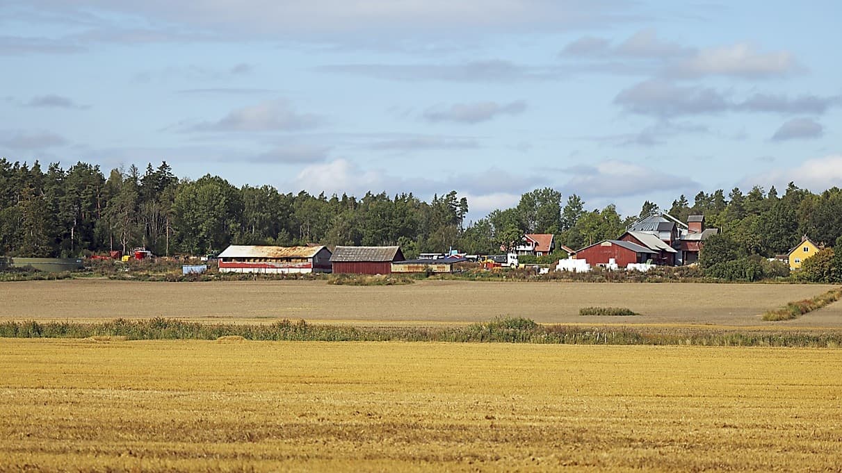 Trots offentligt finansierade master tackar operatörer ofta nej till att investera på landsbygden. I Region Värmlands pilotprojekt från 2021 vägrade alla operatörer att etablera sig i nio prioriterade områden på grund av dåligt kundunderlag. Flera insatser görs för att locka marknaden att investera. Foto: Luke Walker/Getty Images