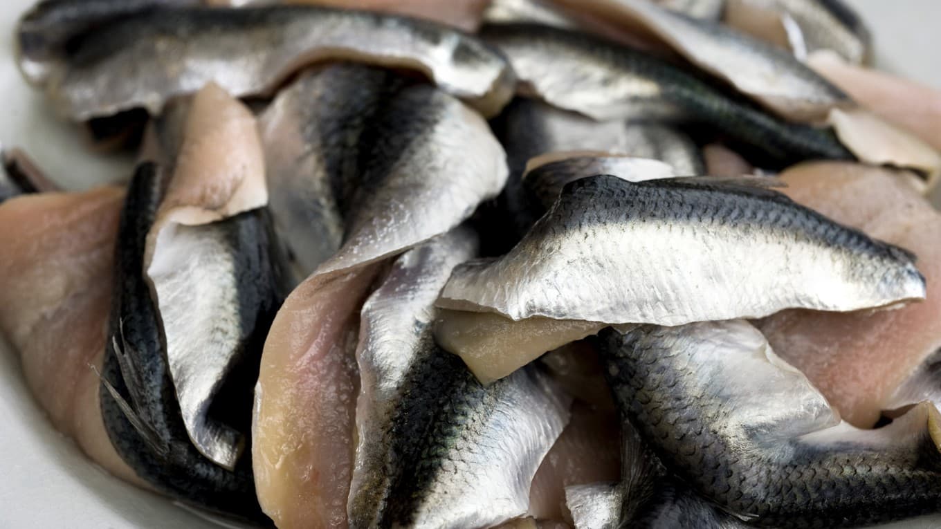 Nu har Ostkustströmming fått skyddad ursprungsbeteckning inom EU. Foto: Claudio Bresciani/TT