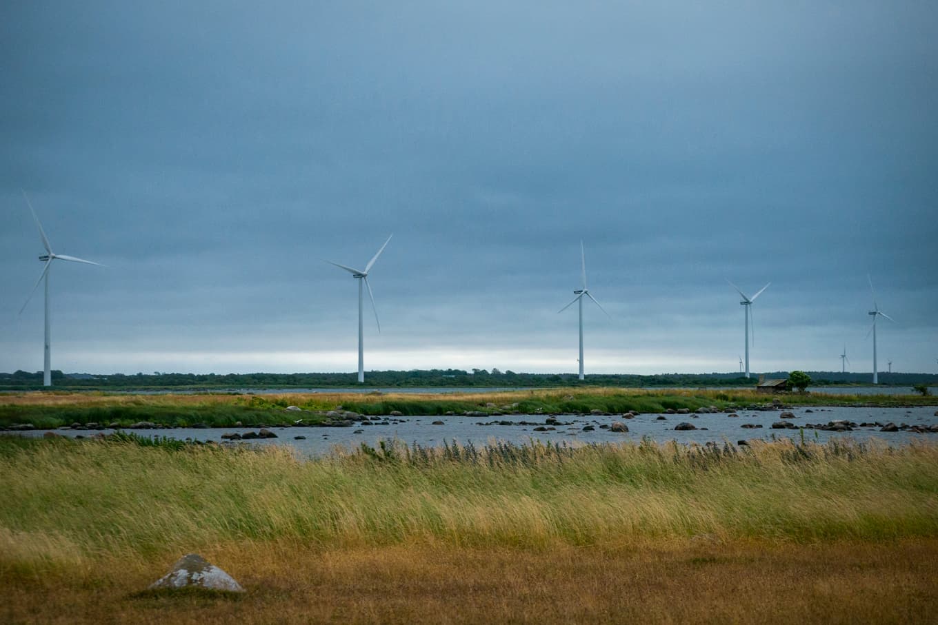 Många konflikter om vindkraft handlar inte bara om det som är sant eller falskt, utan även om osäkerhet i kunskap, skriver Lotta Gröning. Foto: Bilbo Lantto