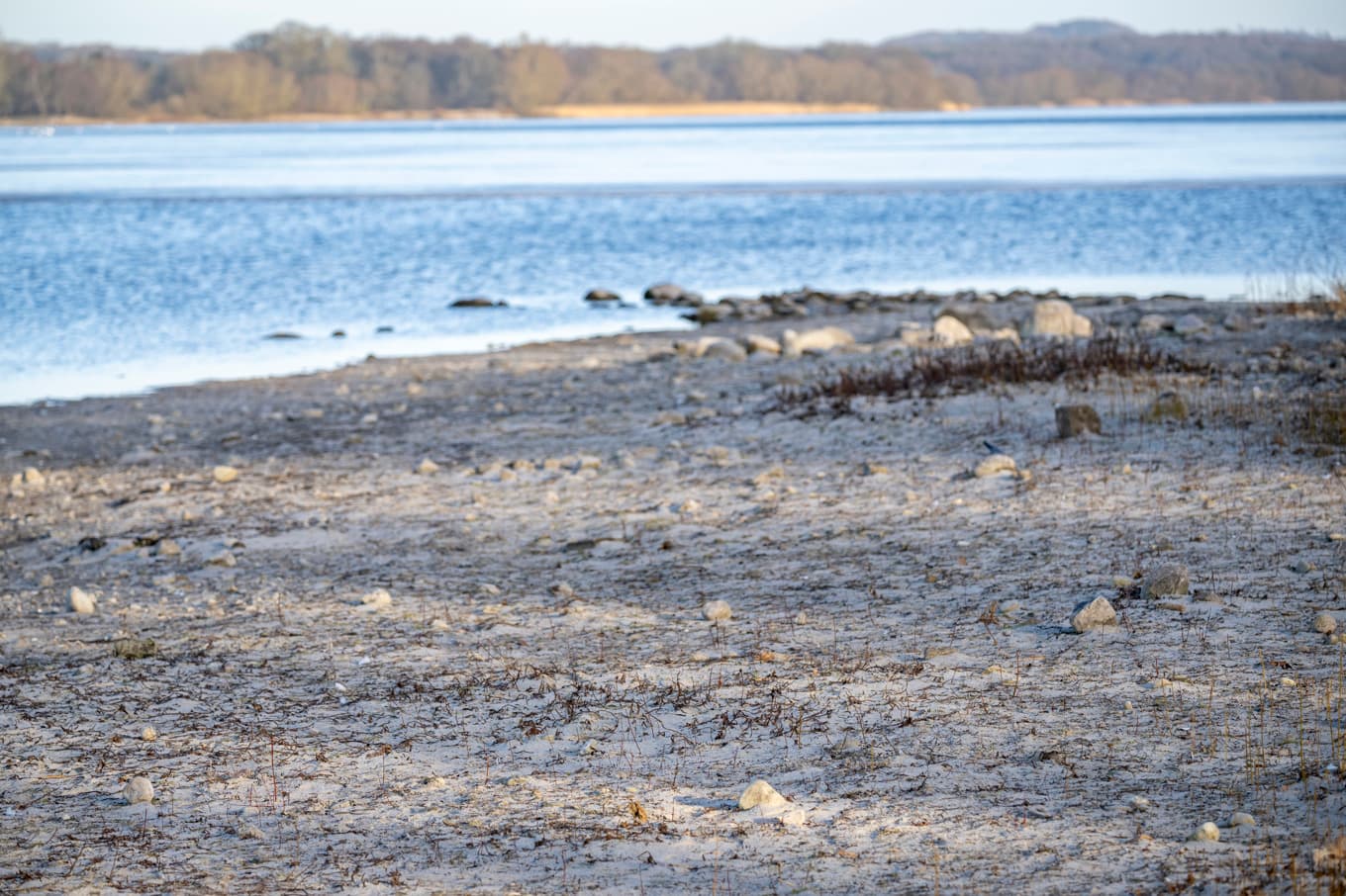 Redan i slutet av februari slog man larm om att vattennivån i Vombsjön – Skånes ”kran” – var den lägsta någonsin för årstiden sedan mätningarna inleddes 1969. Bilden är tagen den 4 mars. Foto: Johan Nilsson/TT