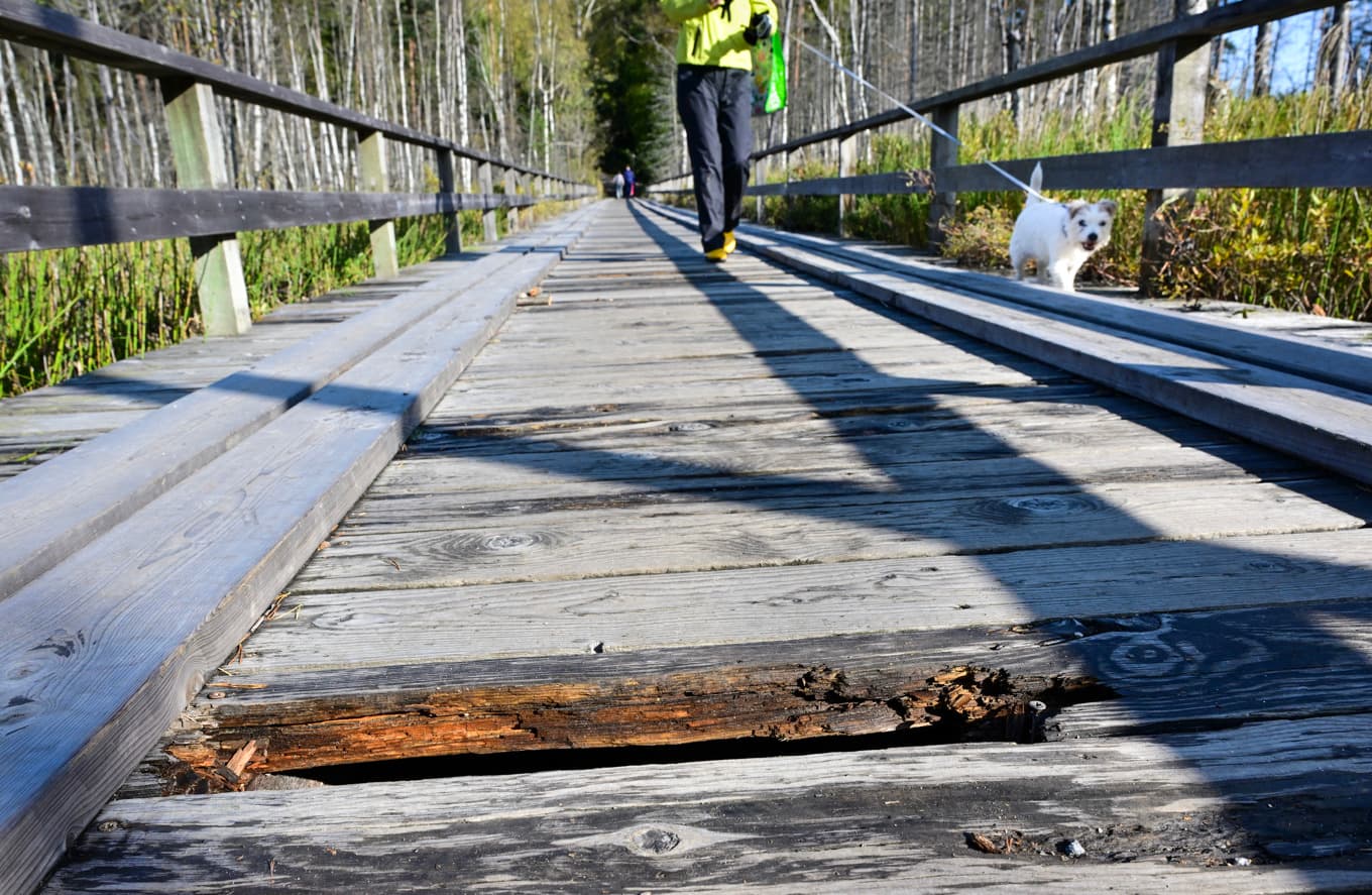 Trasig spång på vandringsled i Tyresta nationalpark. Bild från 2025. Foto: Jonas Ekströmer/TT