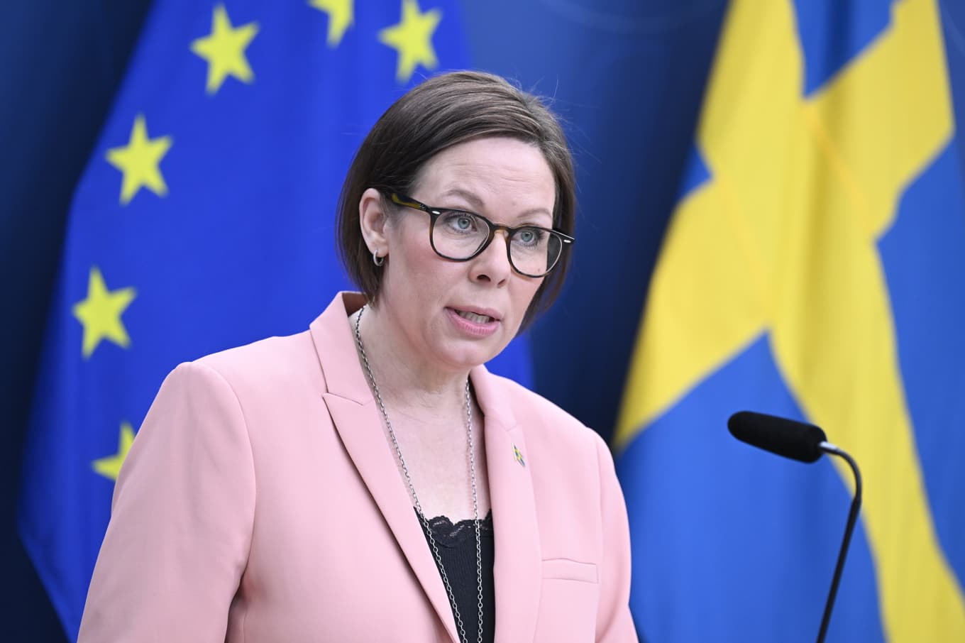 Utrikesminister Malmer Stenergard (M). Arkivbild. Foto: Jessica Gow/TT