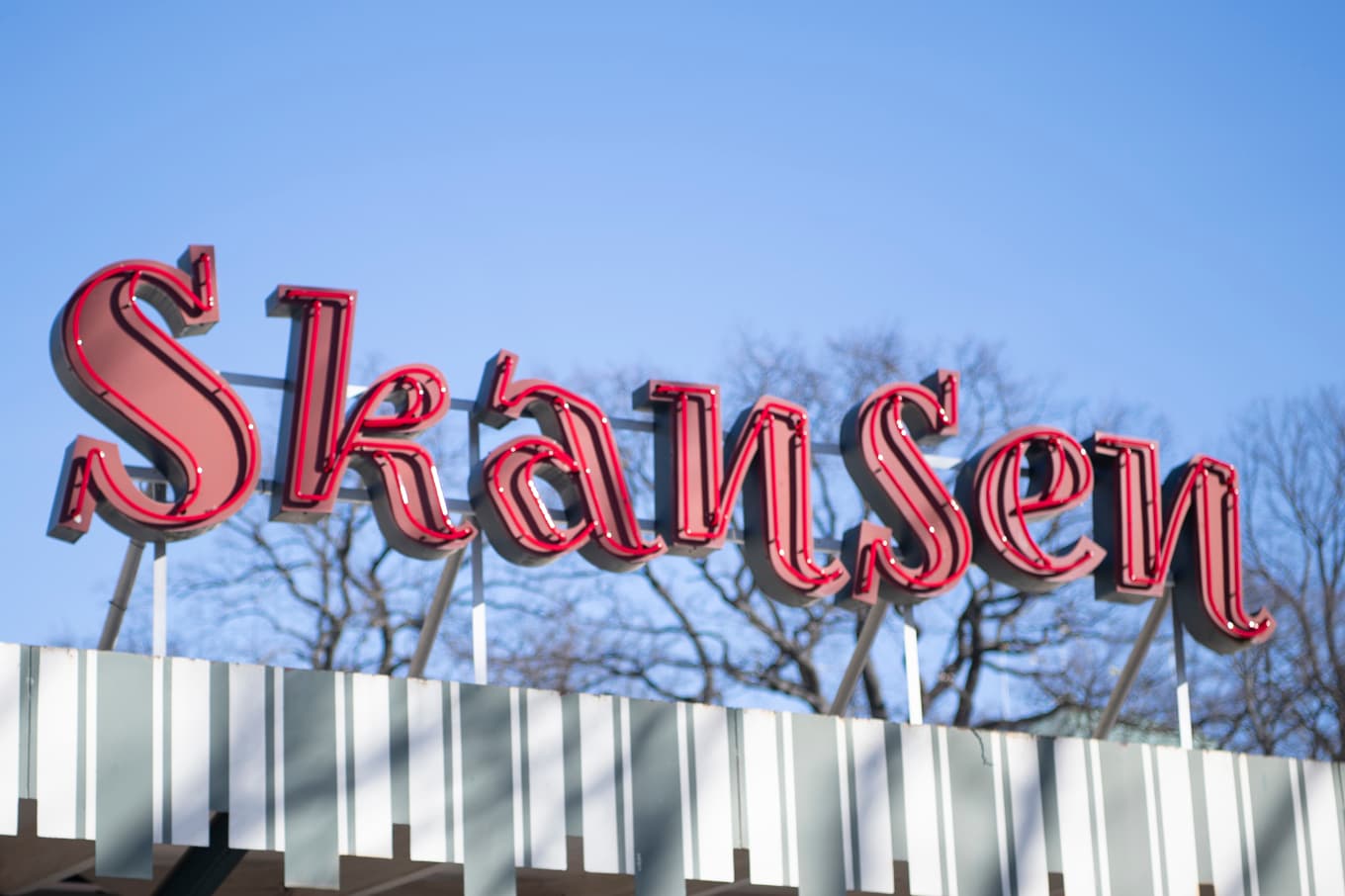 Skansen har under förmiddagen drabbats av ett strömavbrott. Arkivbild. Foto: Carl-Olof Zimmerman/TT