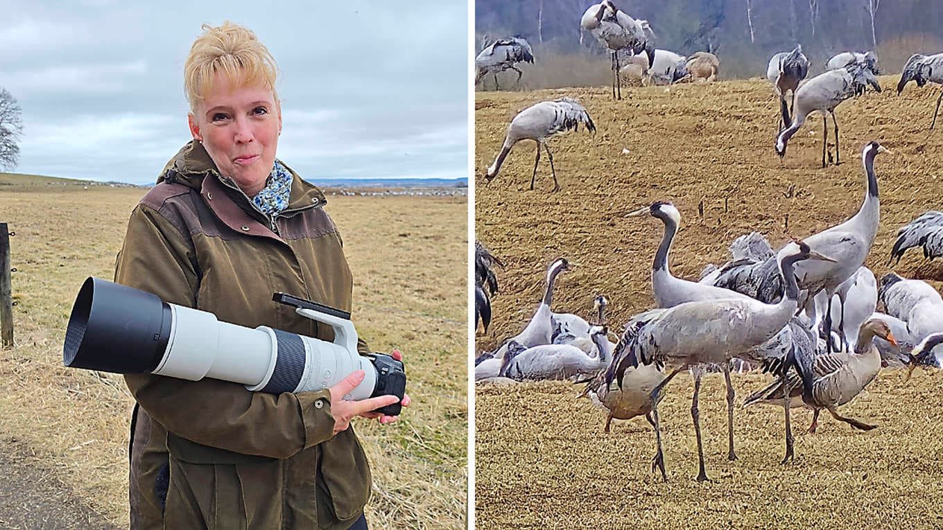 Stephanie Tuebbecke har kommit ända från Tyskland för att fotografera tranorna. På webbplatsen StephanieTuebbecke.zonerama.com finns några av fotografens naturbilder. Foto: Jenny Ljungkvist
