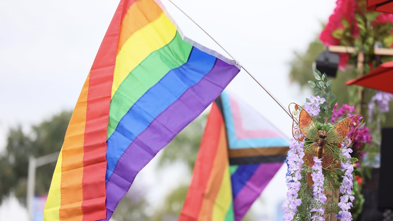 Prideflaggan. Foto: Rodin Eckenroth/Getty Images