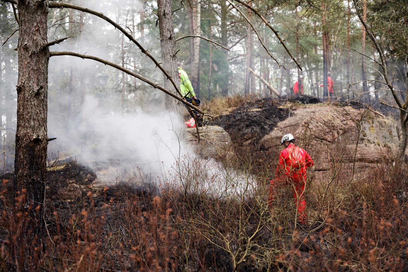 En skogsbrand bröt under lördagen ut i Delsjöområdet i Göteborgs kommun. Foto: Adam Ihse/TT