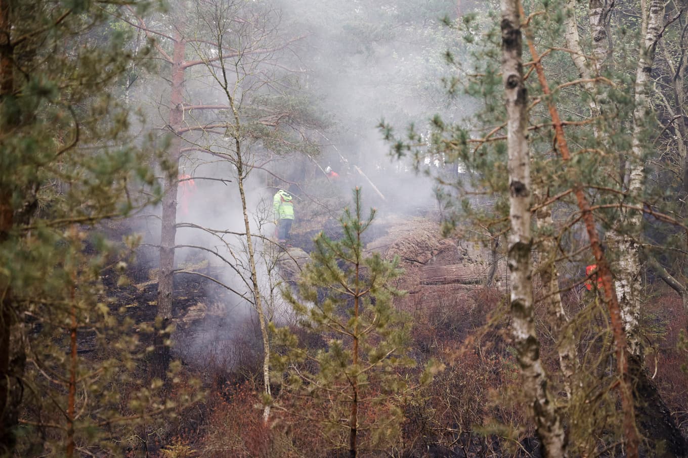 En skogsbrand utanför Göteborg tidigare i maj. Foto: Adam Ihse/TT