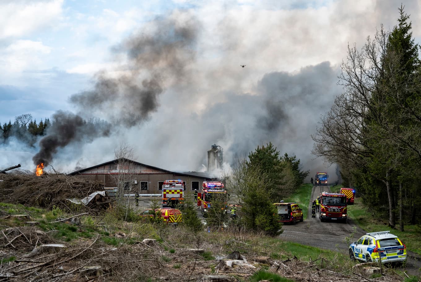 Närmare 50 000 höns brann inne vid en kraftig brand i ett hönseri. Foto: Johan Nilsson/TT