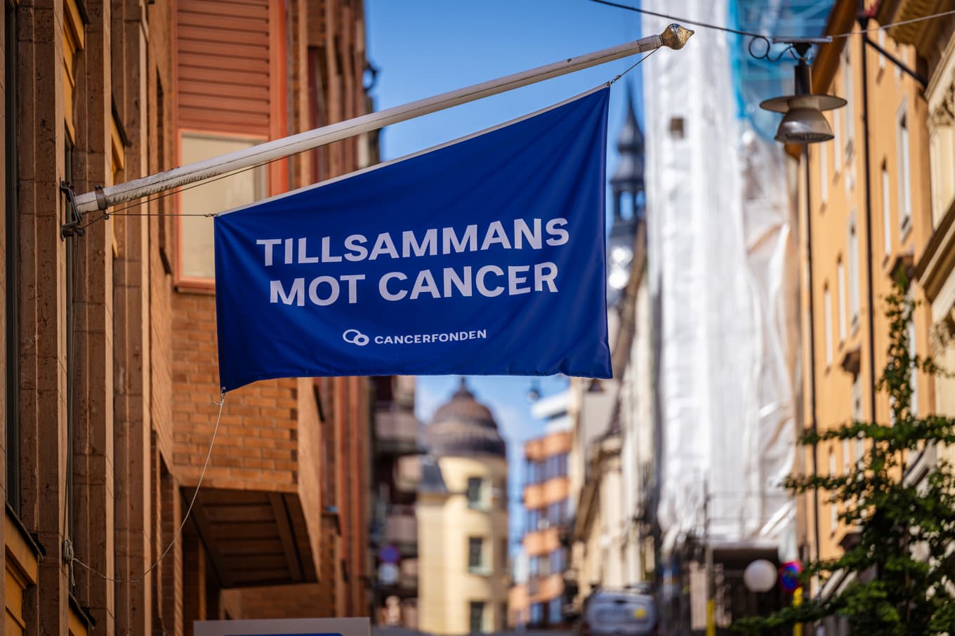 Svenskar skänkte en dryg miljard till Cancerfonden. Arkivbild. Foto: Magnus Lejhall/TT