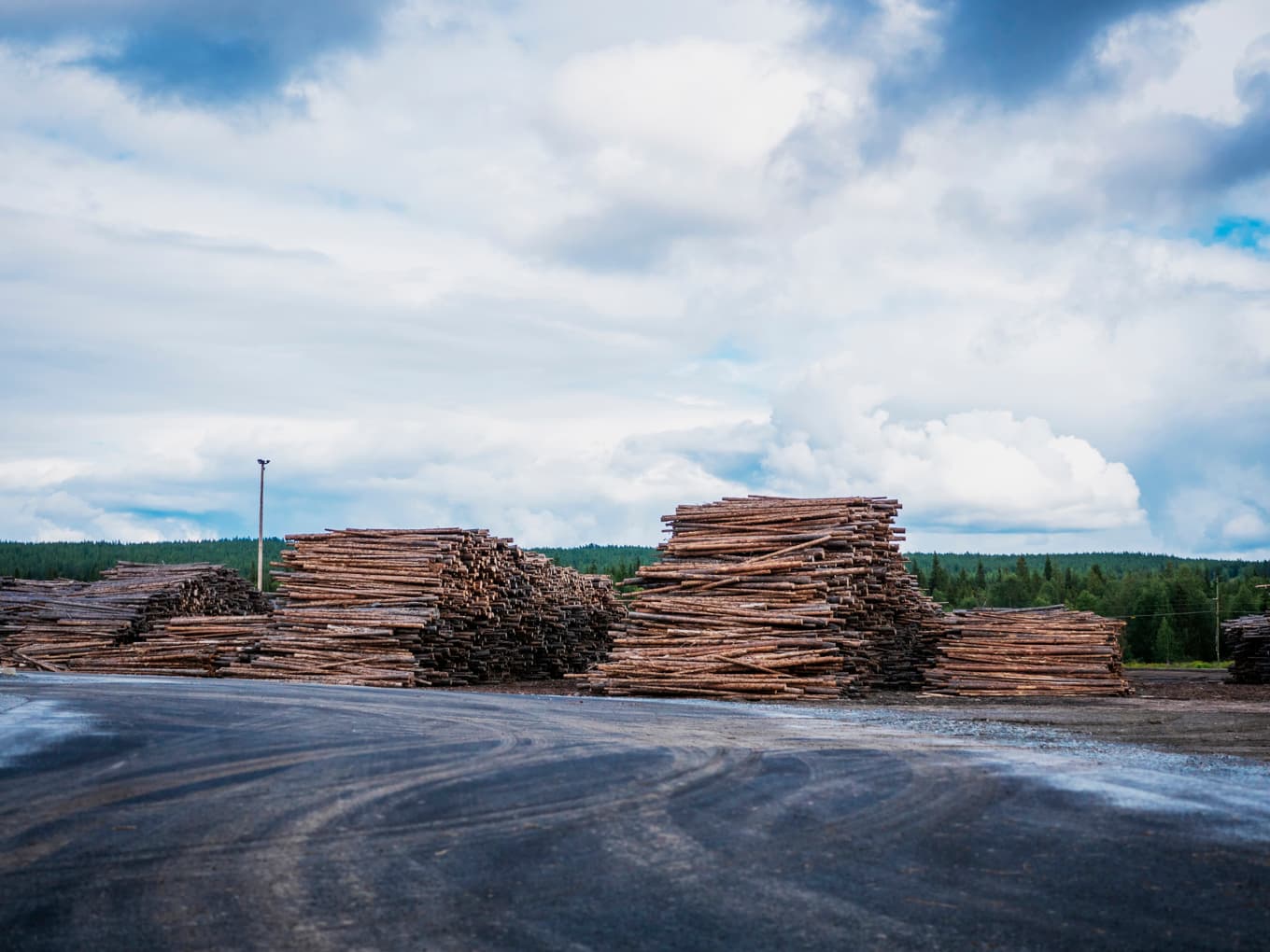 Den tekniska ”edge” som svensk och finländsk skogsindustri hade fram till 1980- eller 90-talet är numera borta, skriver Per Lindvall.
foto: Bilbo Lantto