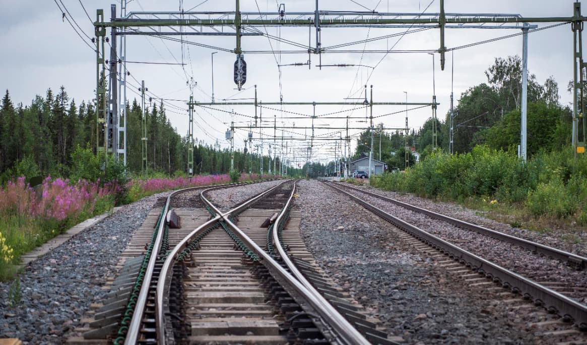 Många svenskar reser med tåg i sommar. Foto: Bilbo Lantto
