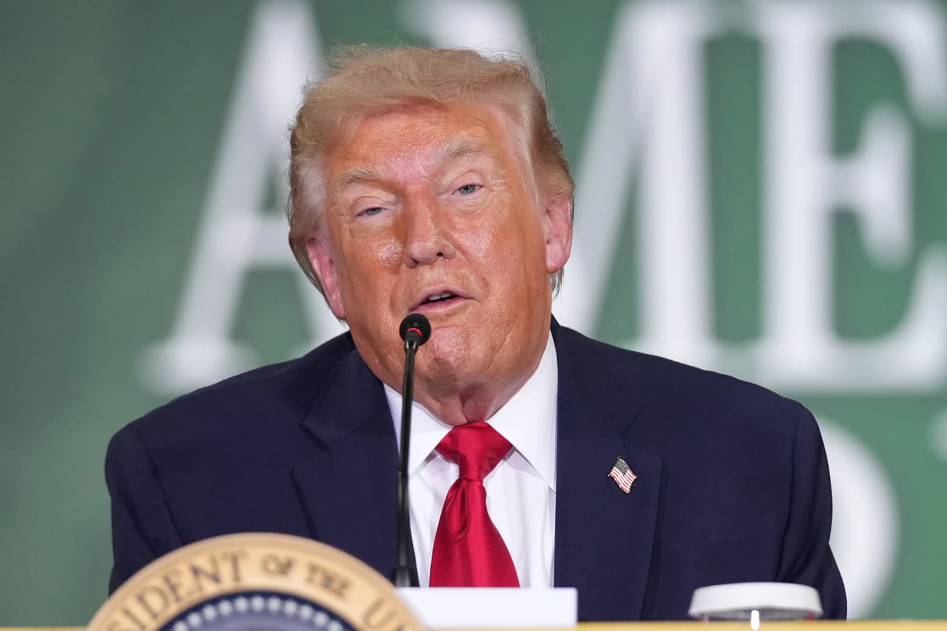USA:s president Donald Trump. Foto: Mark Schiefelbein /AP/TT