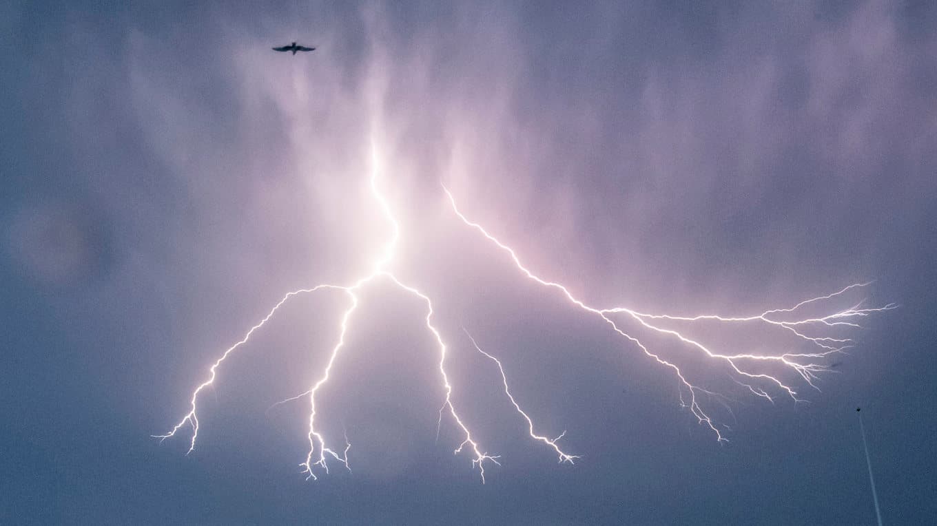 SMHI har utfärdat en gul varning för åskoväder för lördagen. Arkivbild. Foto: Johan Nilsson/TT