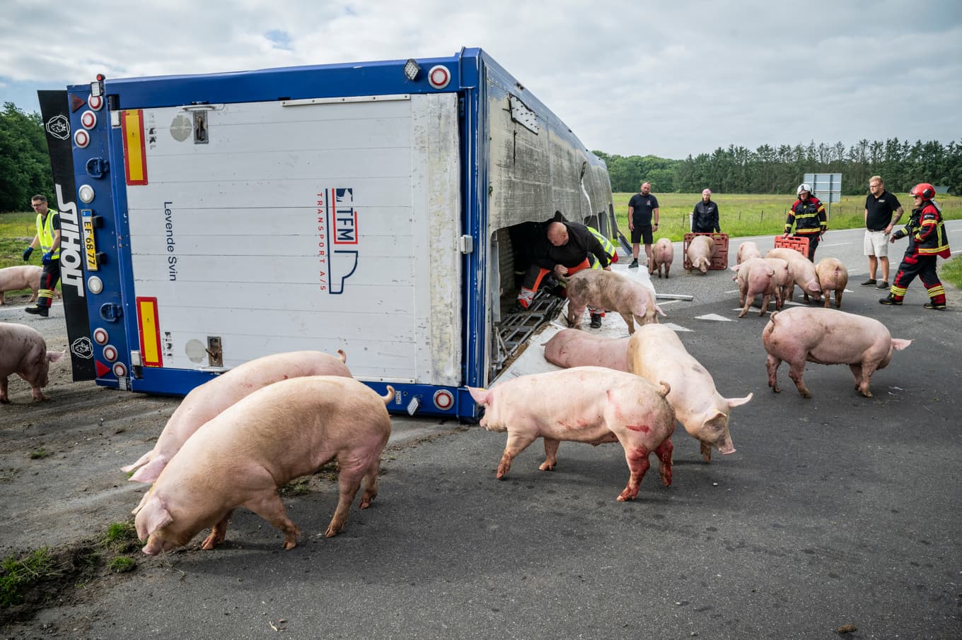 Transporten välte mellan Åbybro och Birkelse på midsommaraftons morgon. Foto: Martin Damgaard/Scanpix/TT