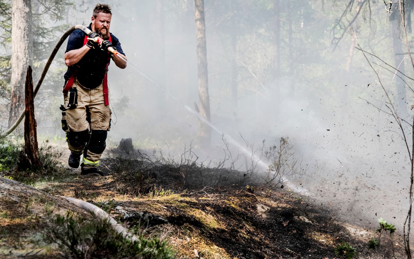 På många håll är risken för bränder i skog och mark mycket stor. Arkivbild. Foto: Tomas Oneborg/SvD/TT