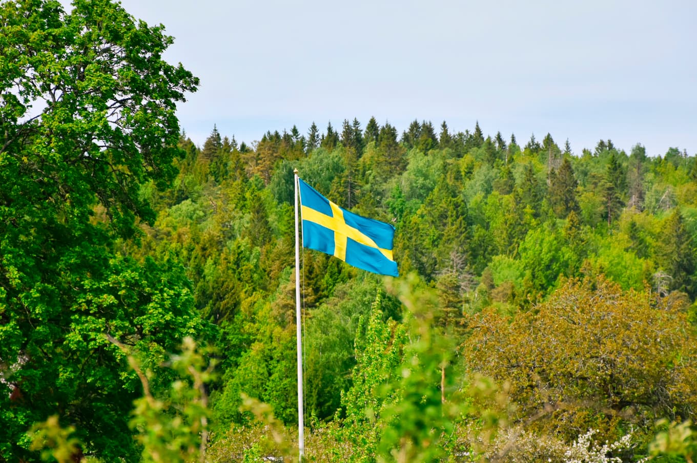 Integration eller assimilation? Mitt svar har genom åren varit: ”Det viktiga är att bli funktionell i Sverige”, skriver Brinkemo. Foto: Nathalia Bohren/Shutterstock