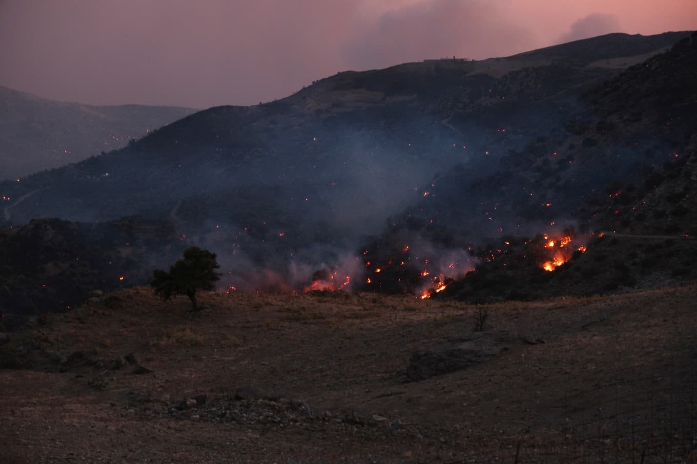 Terrängbränder på den grekiska ön Kreta tvingar tusentals människor att evakuera. Foto: Giannis Angelakis/AP/TT