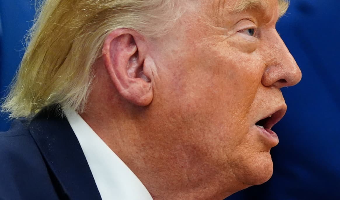 Donald Trump på en bild från i veckan. Foto: Julia Demaree Nikhinson/AP/TT