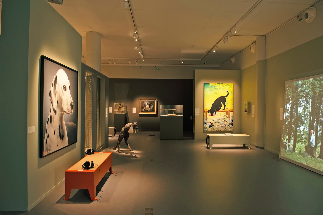 Östergötlands museum i Linköping skildrar hundens och människans relation genom konst och litteratur i utställningen ”Best in show”. Foto: Jonas Karlsson/Östergötlands museum