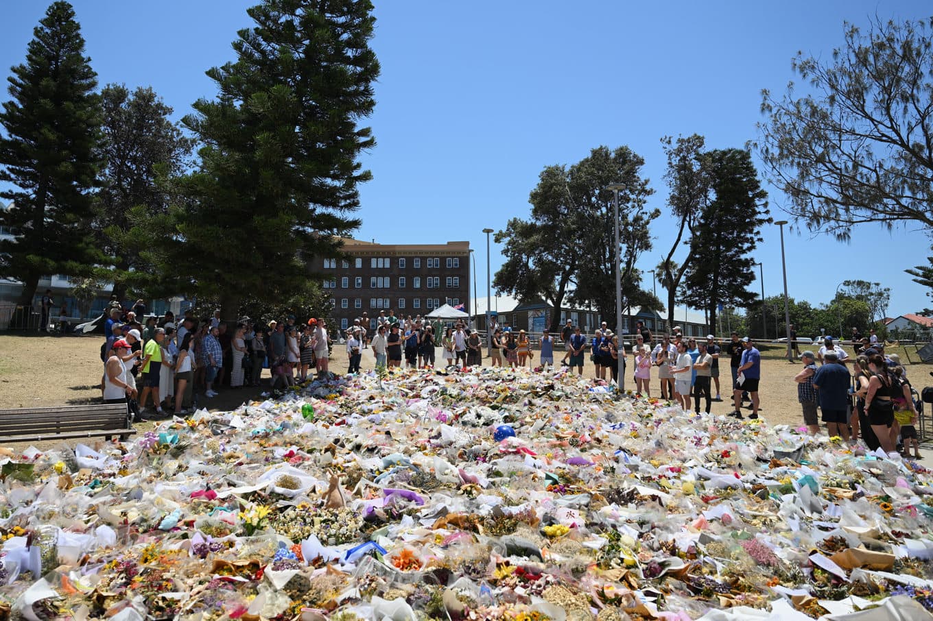 Ett hav av blommor vid minnesplatsen för terrordådet vid Bondi Beach i december i fjol. Foto: Steve Markham/AP/TT